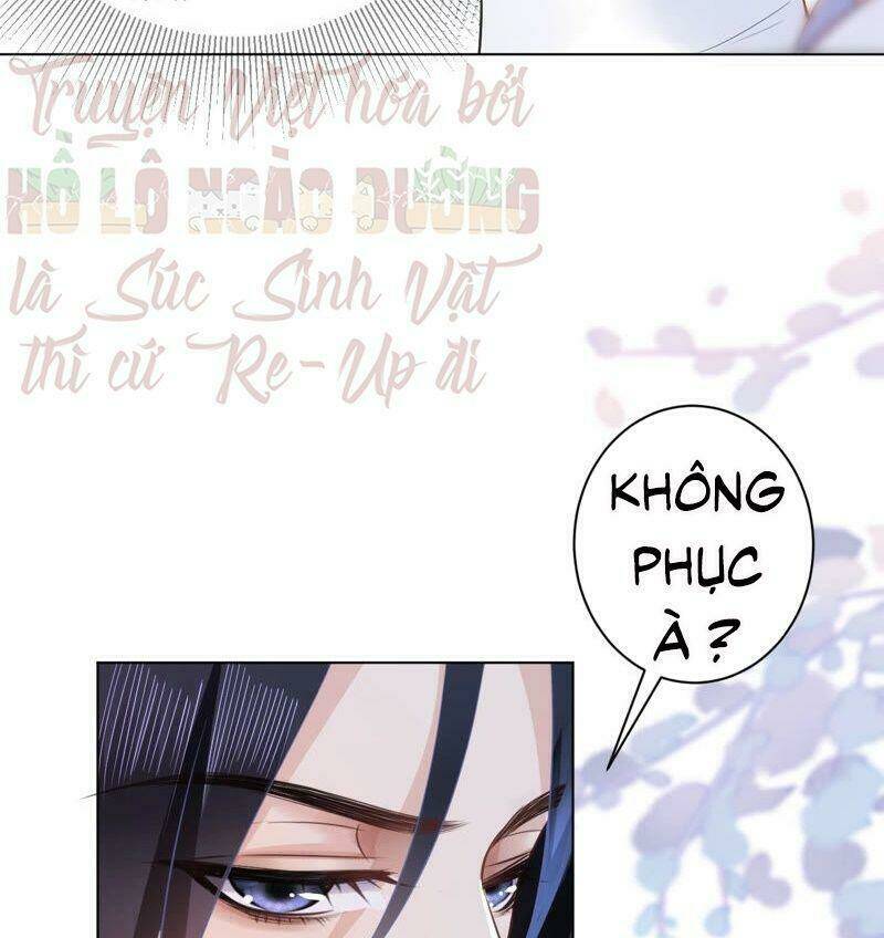 quận chúa vững vàng, thiết lập nhân vật không thể vỡ chapter 41 14