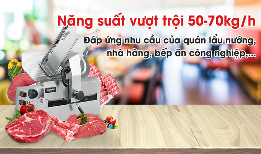 Máy Thái Thịt Đông Lạnh Tự Động SL 300B NEWSUN, Thái Năng Suất Cao - Hàng Chính Hãng