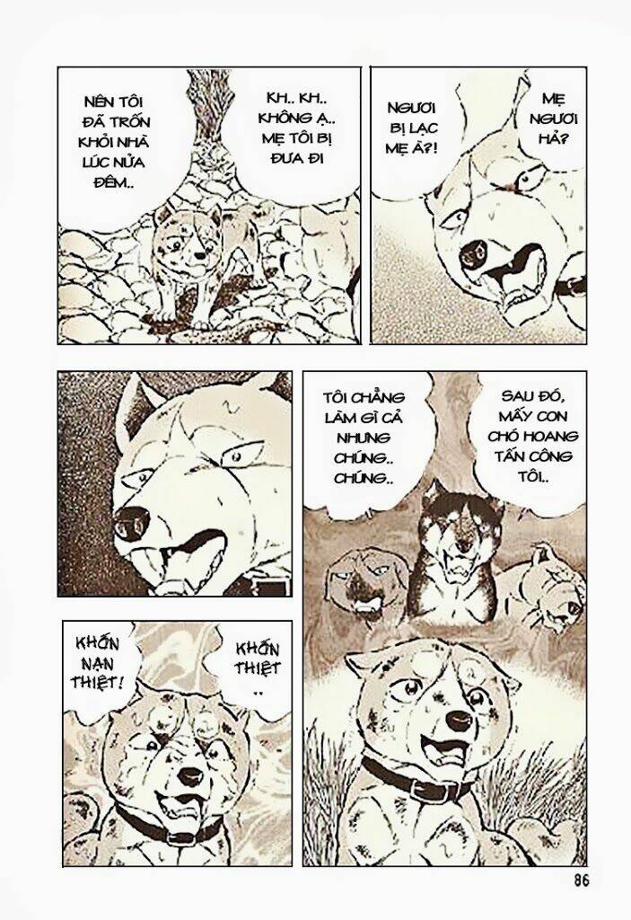 ginga densetsu riki chapter 3 14