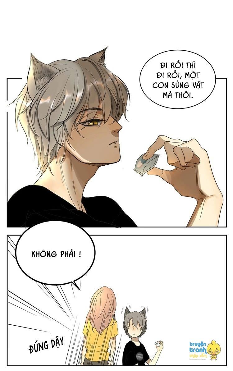 cứu mạng ! loài mèo thống trị thế giới rồi ! chapter 11 10