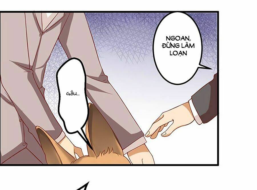 gối đầu vào tổng tài ác ma chapter 16 2