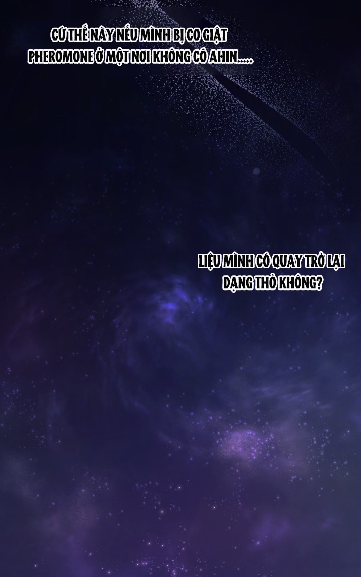 mối liên kết giữa báo đen và bé thỏ chapter 42.2 36