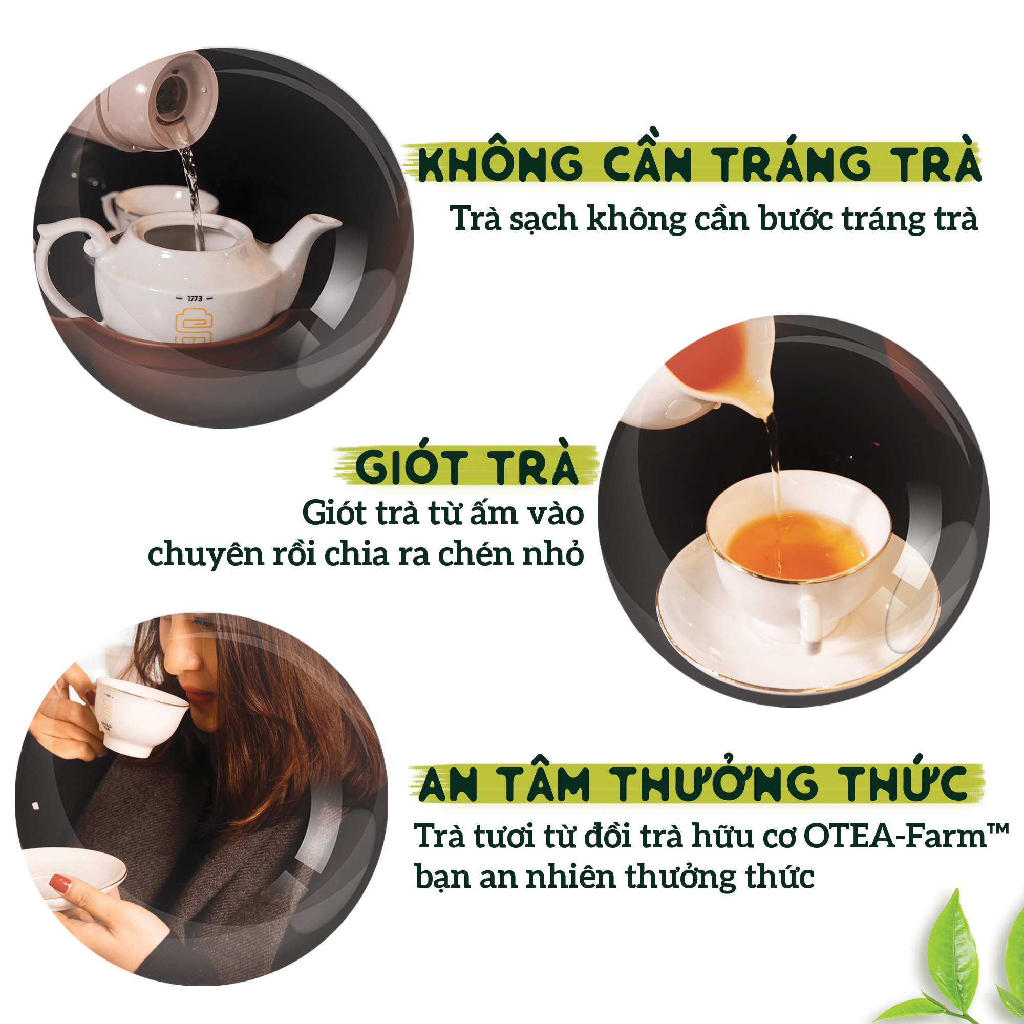 Trà xanh hương cốm non SACHS TEA 1773 thơm mùi cốm vị ngọt sâu chè hữu cơ thái nguyên 80g/hộp