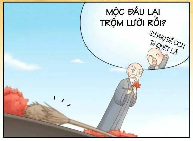 tiểu hồ ly vs tiểu hóa thượng chapter 64 3