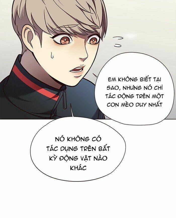 biến thân thành mèo chapter 81 84