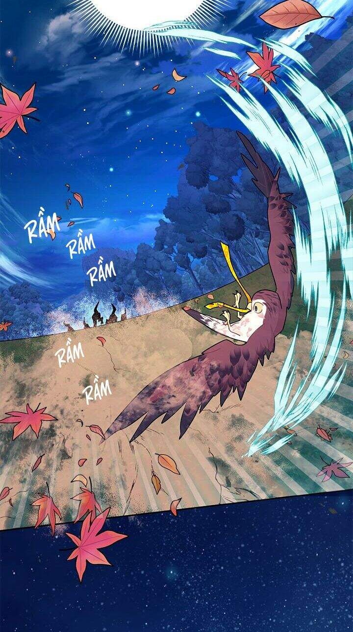 công chúa của loài chim chapter 32.2 28