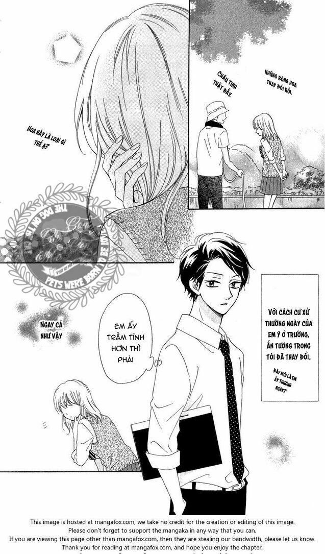 koi ni naranai wake ga nai chapter 11 4