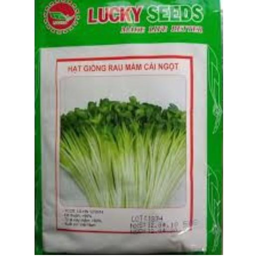HAT MẦM RAU CẢI NGỌT