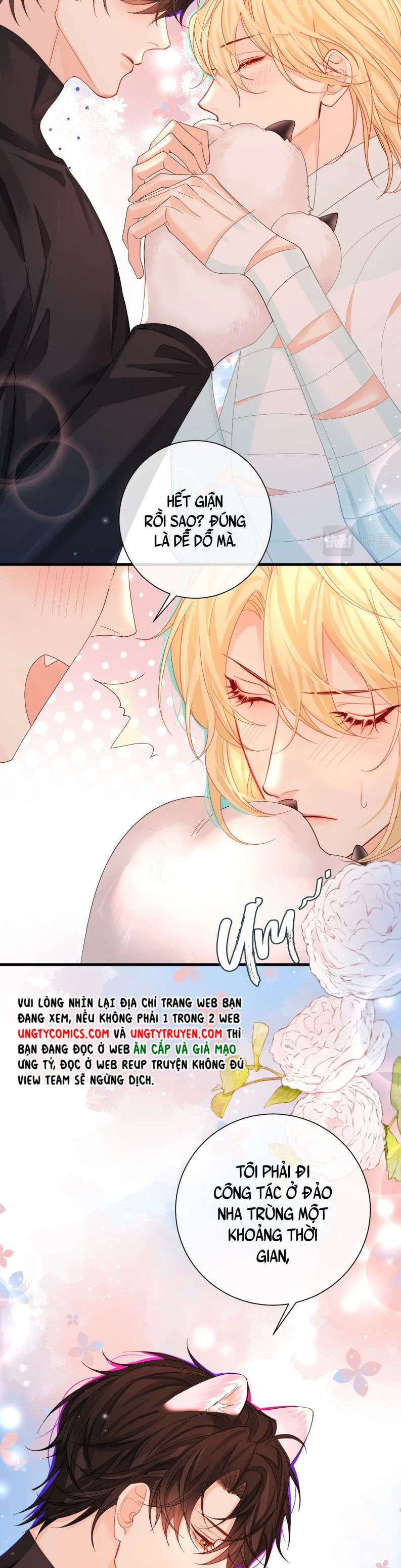 nhân ngư rơi xuống chapter 39 14