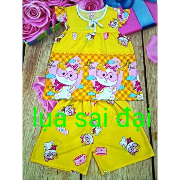 Bộ lụa lớn 2530ky