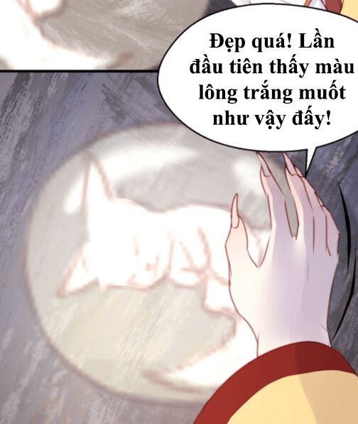 lượm được một tiểu hồ ly phần 1 chapter 70 17