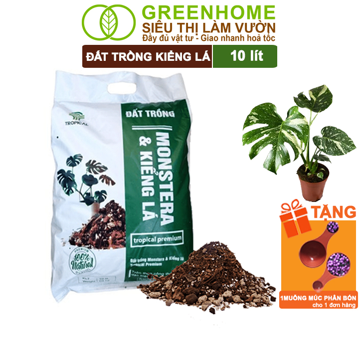 Đât Trông Kiêng La Greenhome, Bao 10 Lít 3Kg, Giá Thể Trộn Sẵn, Tiện Lợi Cho Monstera, Rễ Khoẻ, Thân To, Lá Dày - 1 Bao Kiểng Lá 10Dm3
