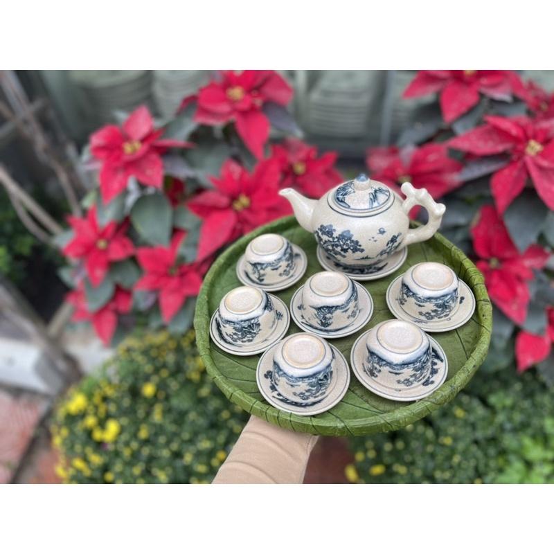 Bộ ấm chén gốc cây