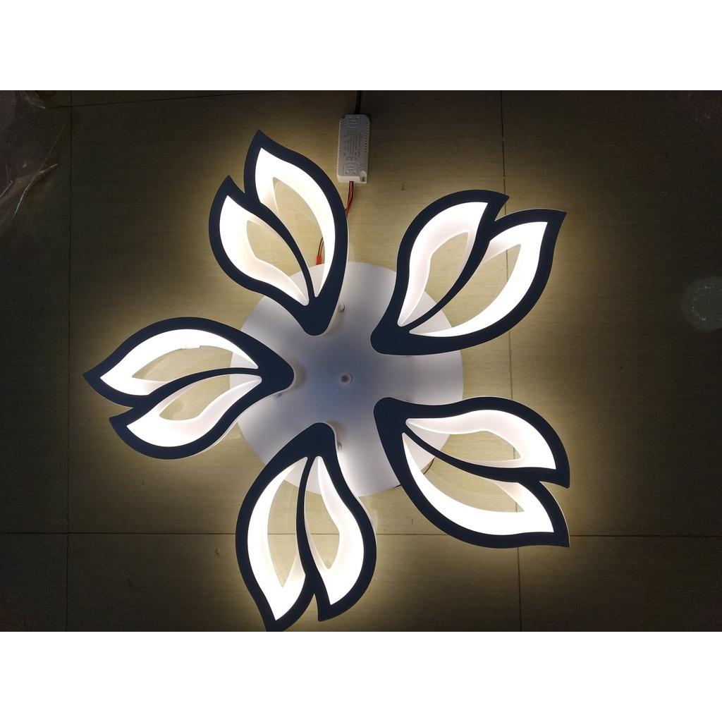 Led mâm mica - 3 chế độ màu