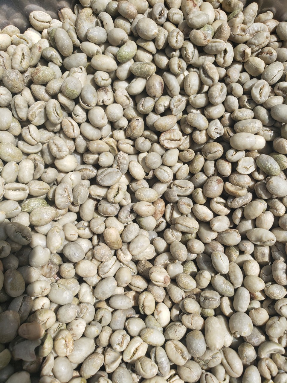 Cà phê nhân Arabica Cầu Đất O'PETIT 1KG