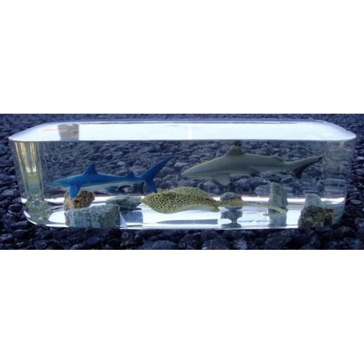 Thùng 20 Kg Keo Epoxy Resin Trong suốt Cao Cấp R79AB Làm Bàn Ghế - Trường Thịnh Sài Gòn