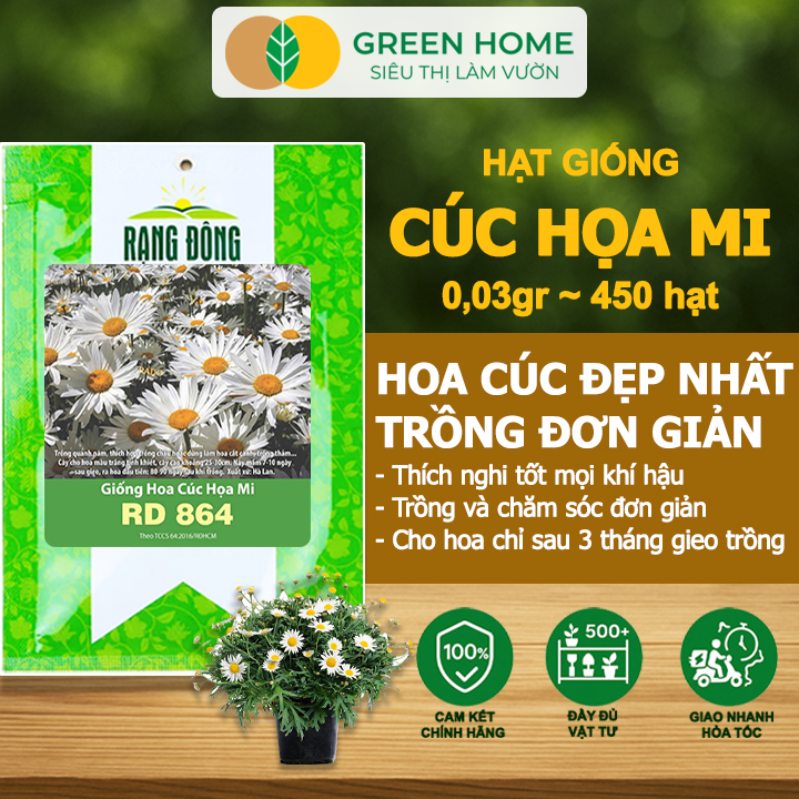 Hạt Giống Cúc Hoạ Mi Greenhome, Gói 0,03gr~450 hạt, Dễ Trồng Quanh Năm, Hoa Trắng, Nhuỵ Vàng H04