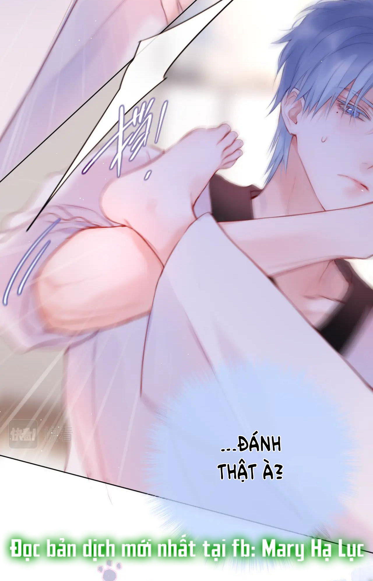 cạm bẫy của hồ ly chapter 32.2 17