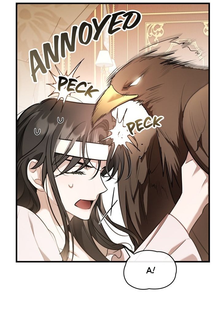 cái bóng trong đêm chapter 34 41