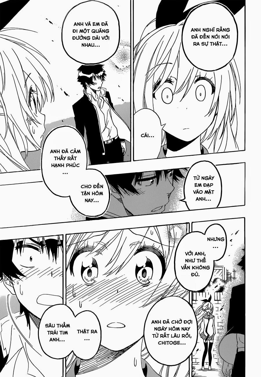 nisekoi - tình yêu giả tạo chapter 162 23