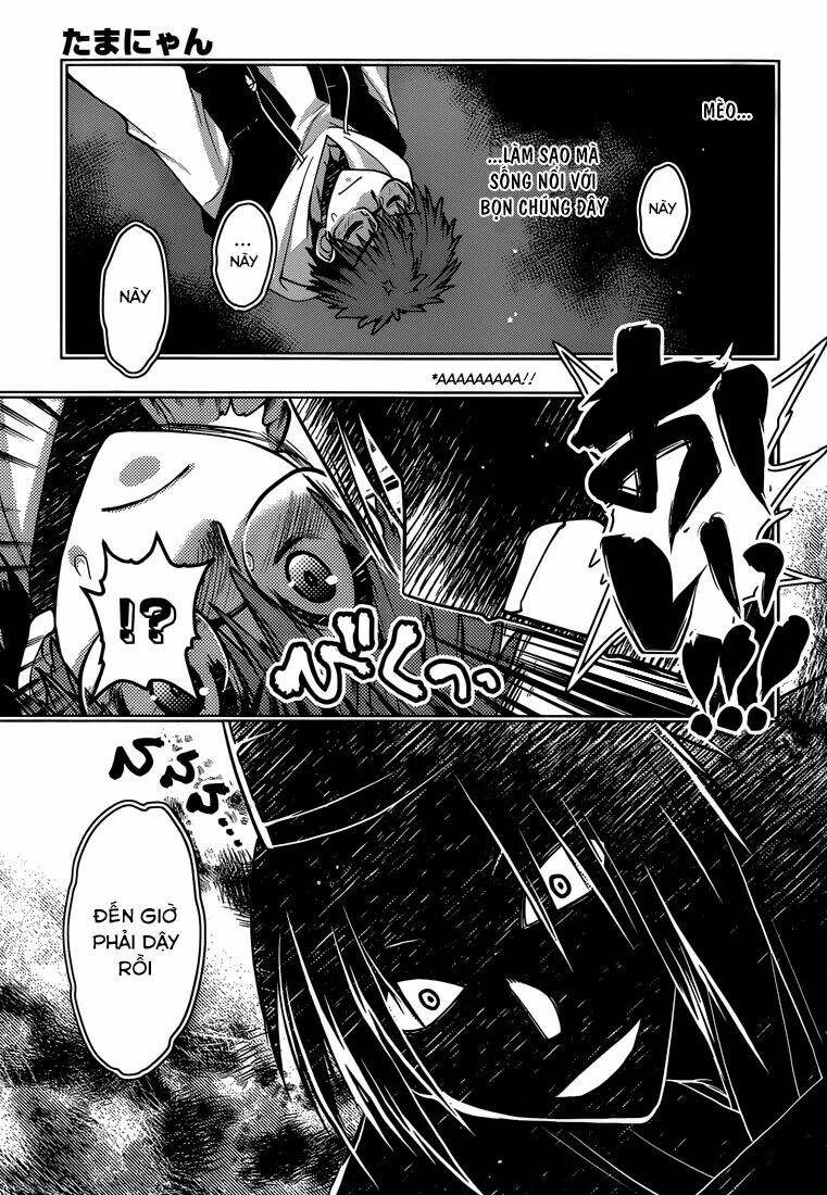 tamanyan chapter 9 5