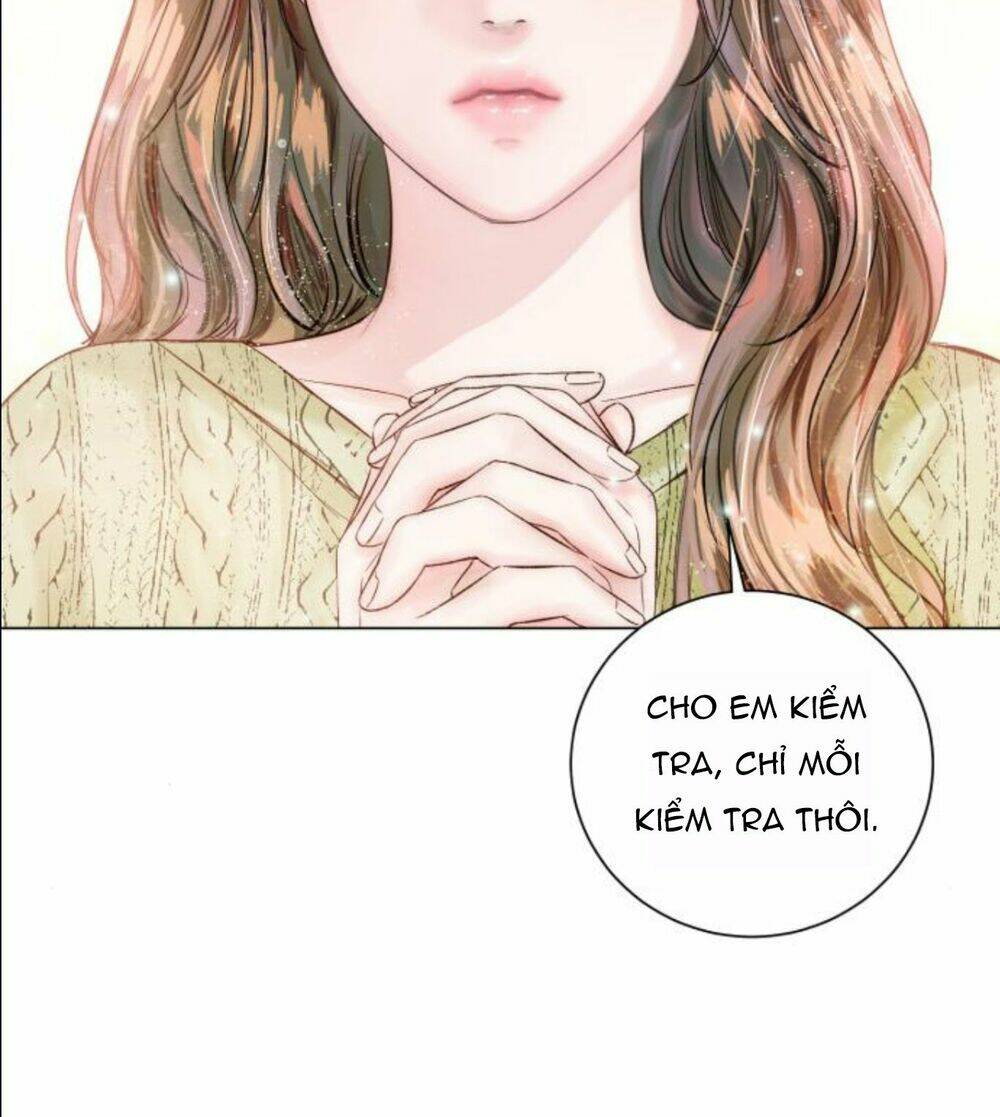 nhất định chúng ta sẽ được hạnh phúc chapter 12 58