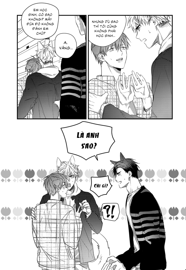 phản xạ có điều kiện chapter 12 23