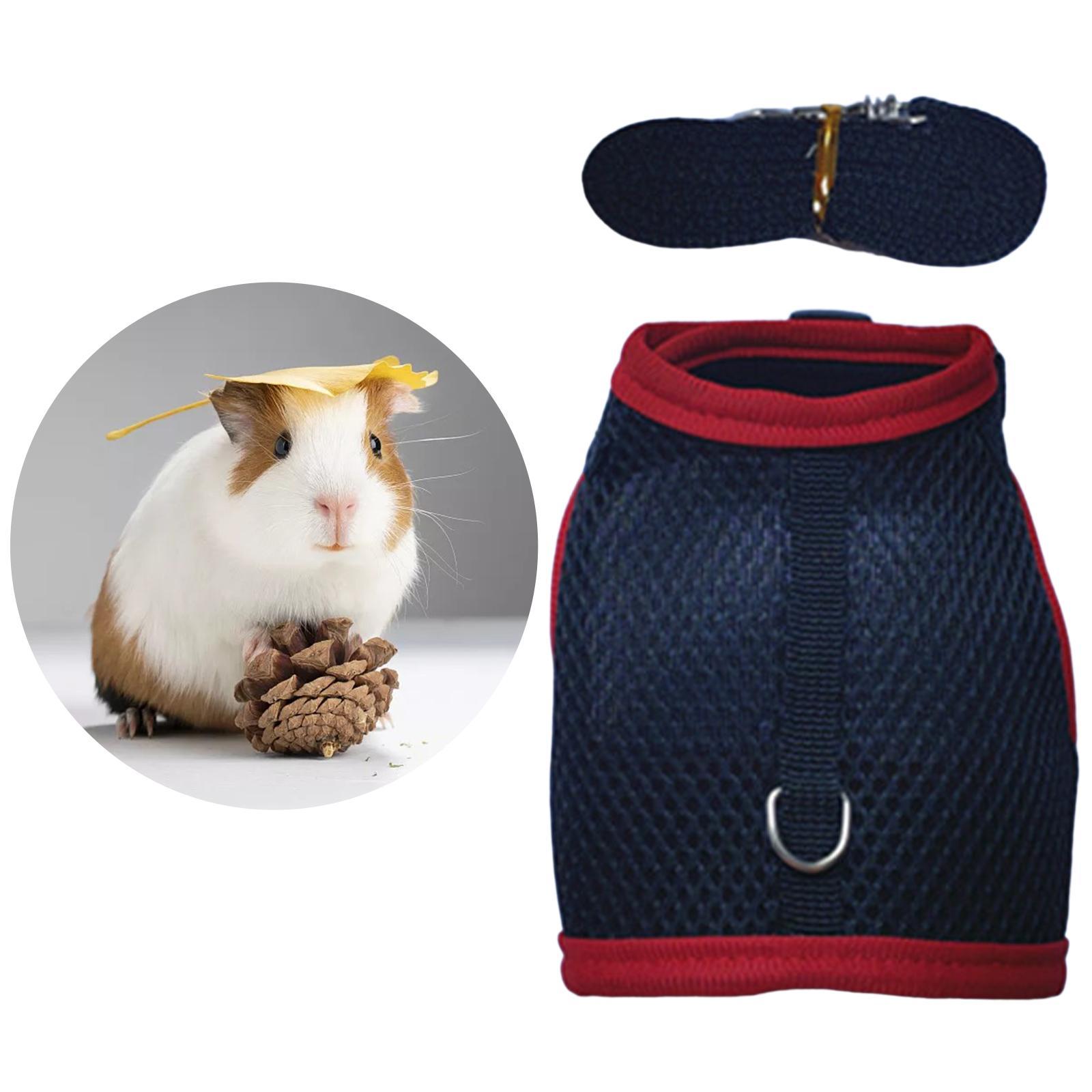 Rabbit Harness and Leash Set Mesh Vest Harness for Bunny Kitten Guinea