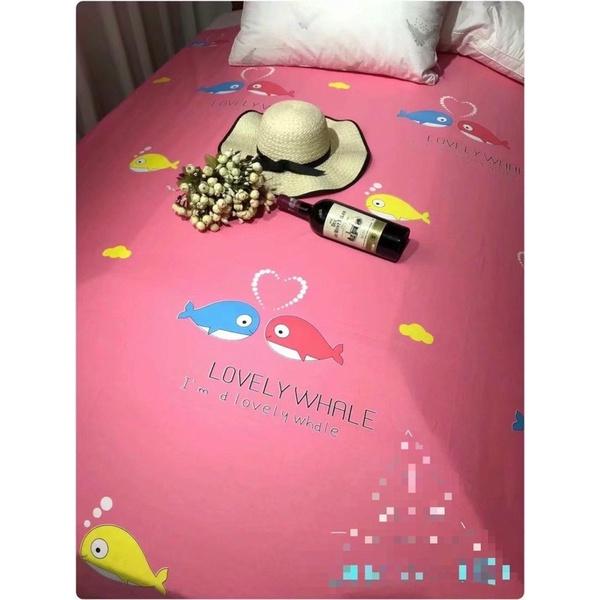 Bộ chăn drap gối Cotton 100% Hàn Quốc