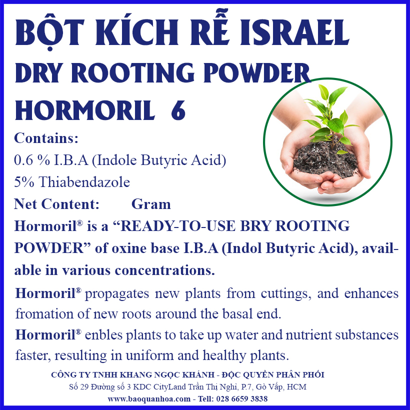 Bột kích rễ Israel cây hoa hồng và cây thân gỗ khác. Hủ 100gr Hormoril 6 giúp kích thích cây ra rễ nhanh, khỏe và sát khuẩn vết cắt để đạt tỷ lệ thành công cao trên cây con và cây giâm chiết cành