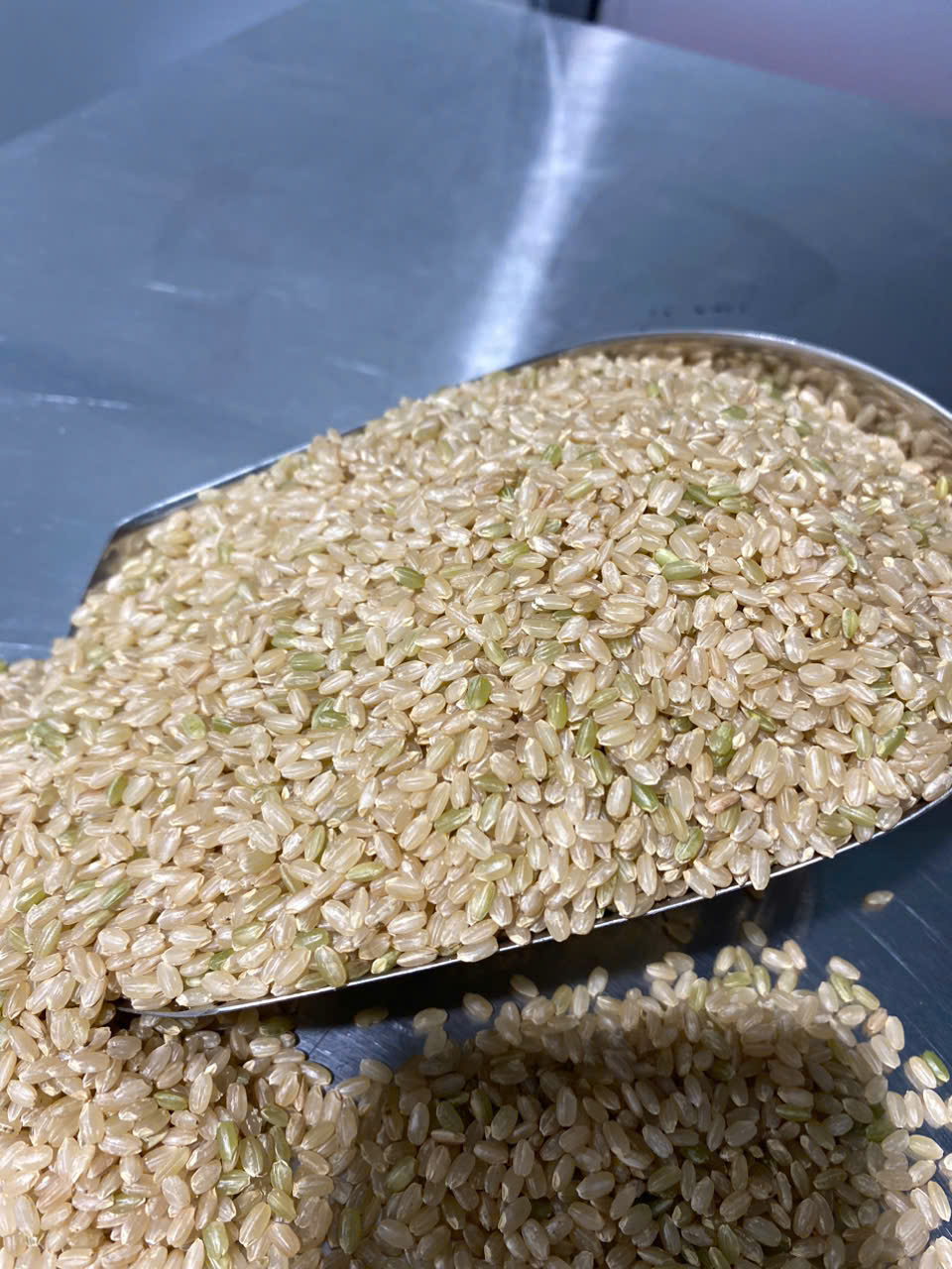 GẠO LỨT NHẬT NHẬP KHẨU HOKKAIDO SANSANMARU - HOKKAIDO SANSANMARU - KOME ICHIZOKU -2KG