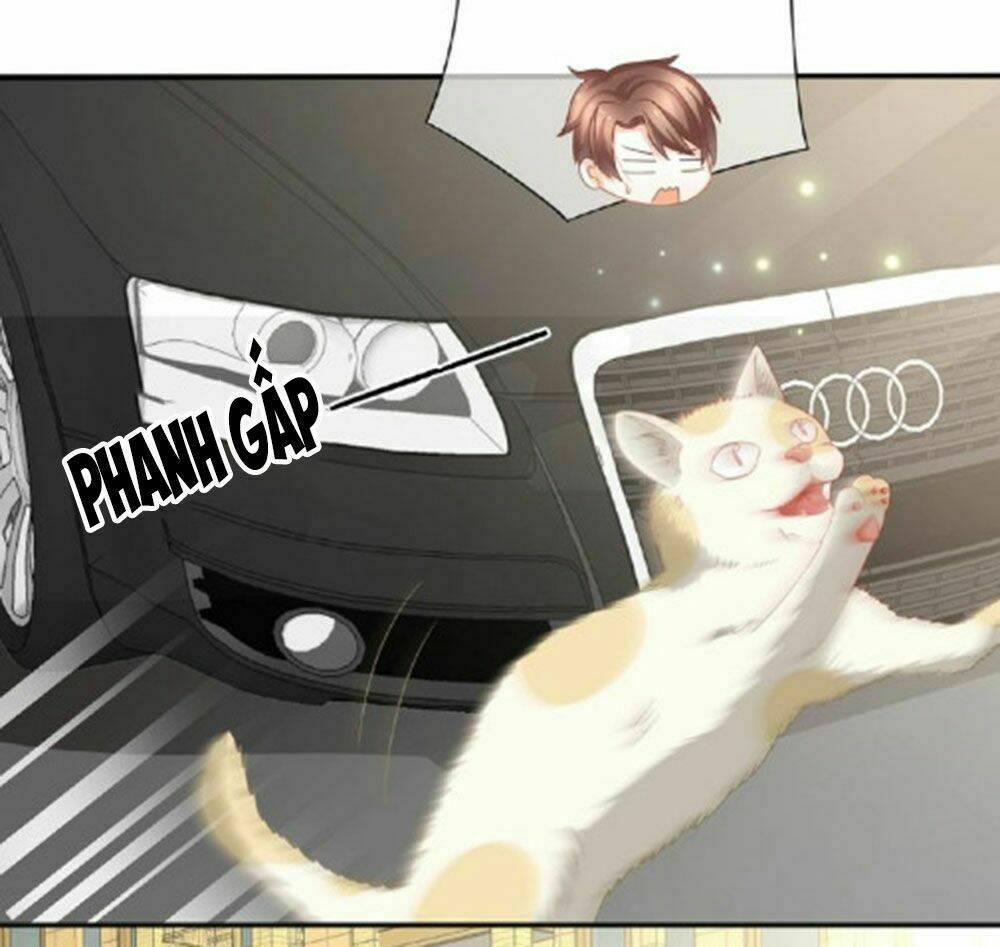 tiệm may luyến sắc chapter 23 8