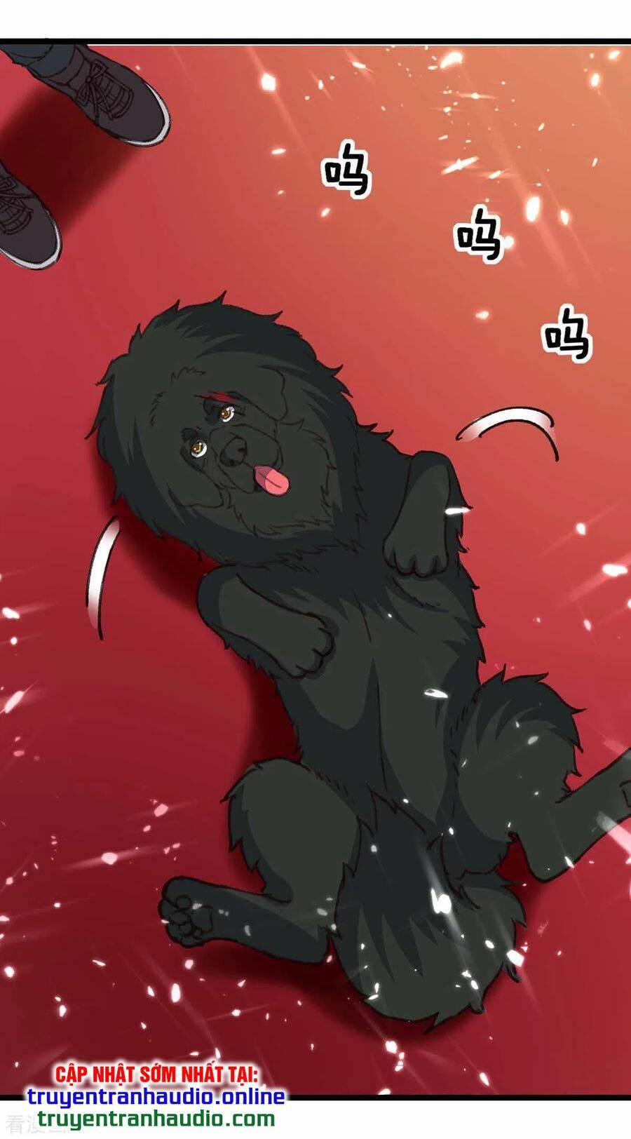 trọng sinh khí thiếu quy lai chapter 148 11