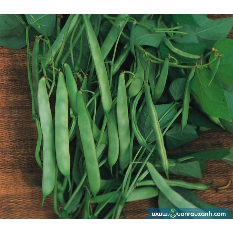 Hạt giống đậu cove leo quả dẹt hạt nâu gói 50gr
