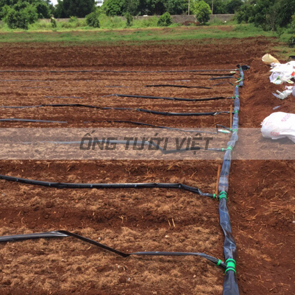 Ống bơm dẫn nước PE cỡ lớn thương hiệu Nguyễn Tân - Phi 60/80/90/100/110/114/120/130