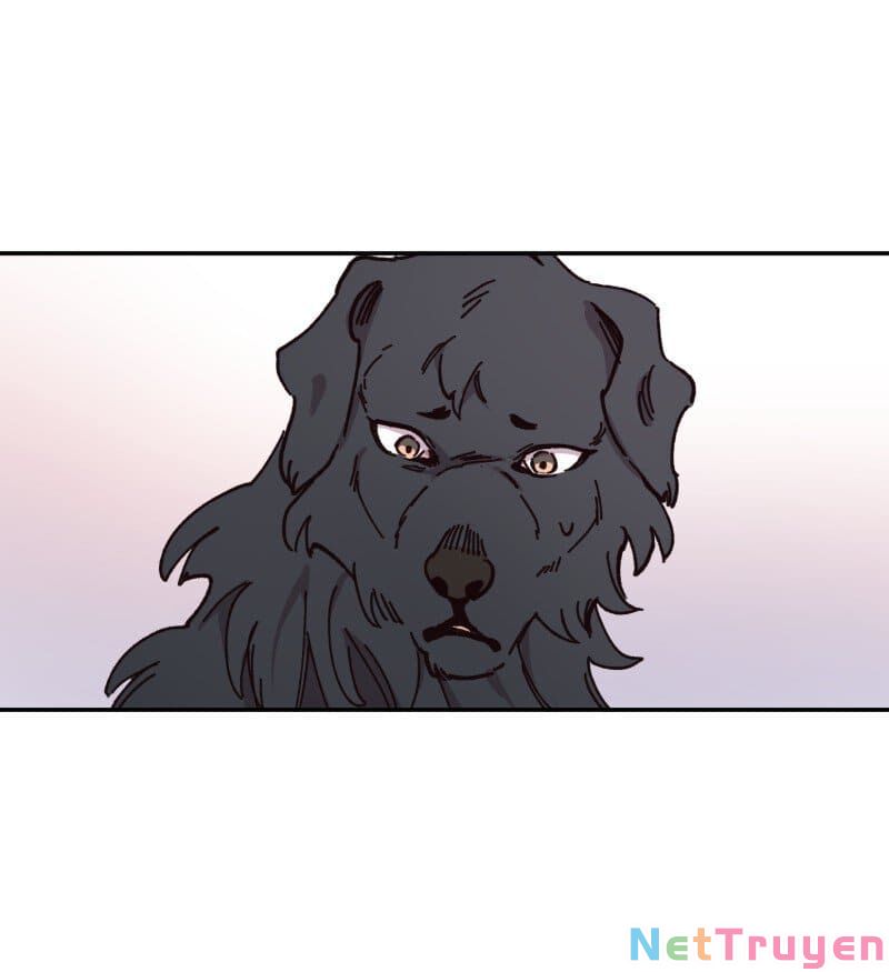 lumine - cội nguồn ánh sáng chapter 82 17