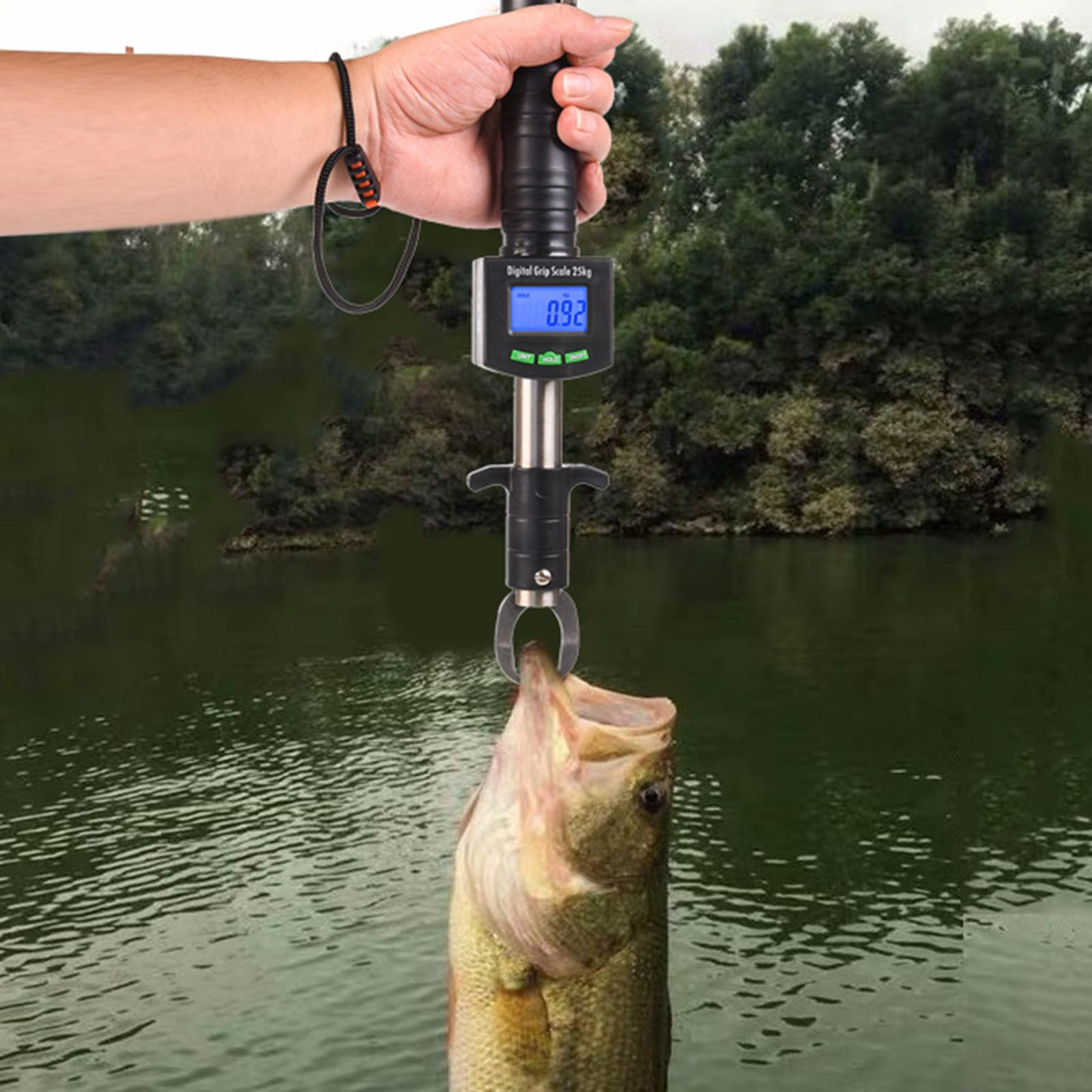 Fish Lip Gripper Fish Scales Professional Fish Holder Stainless Steel Fish Lip Grabber 55 Pound Fish Lip Grip Tool with Weight Scale