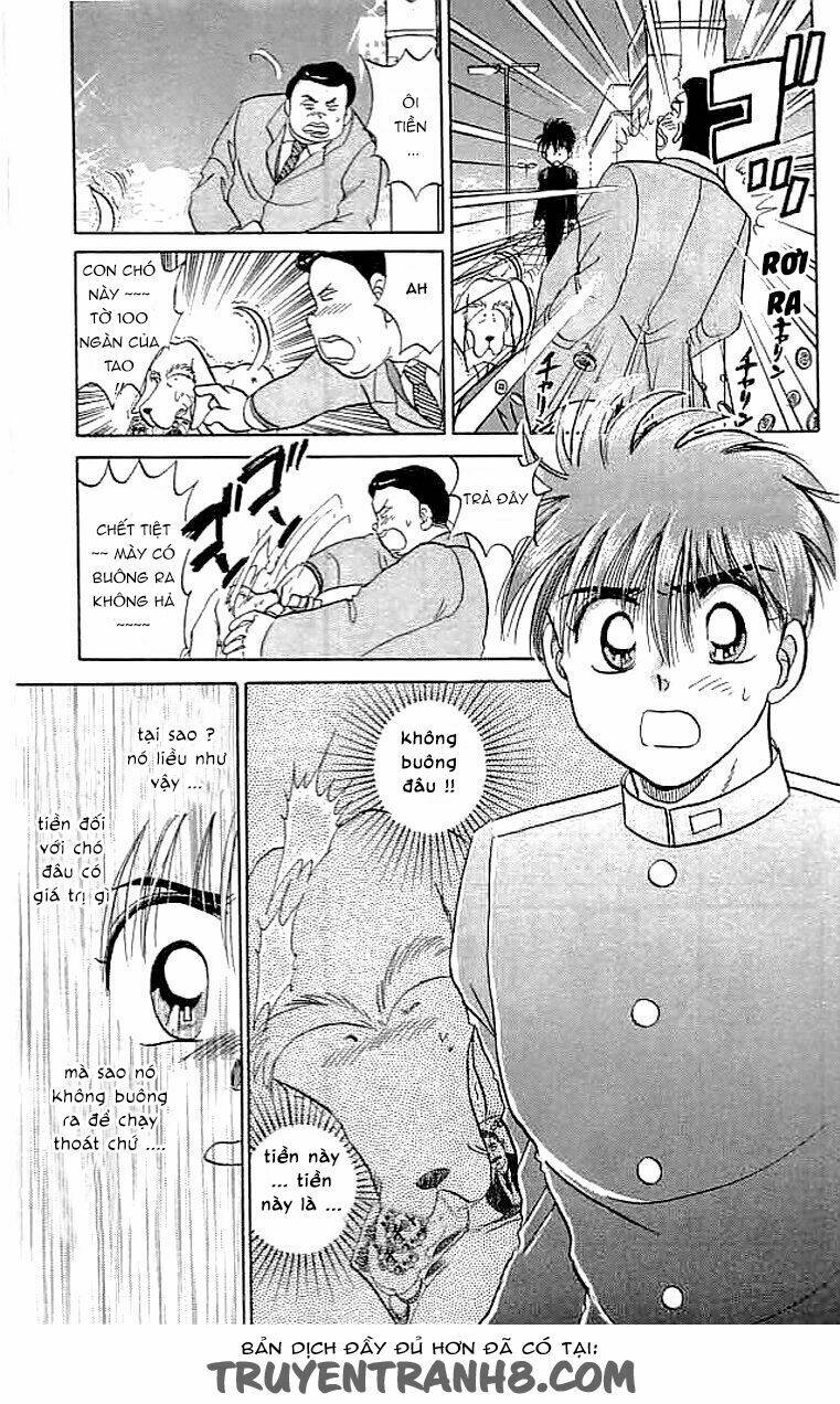 wild half chapter 12 13