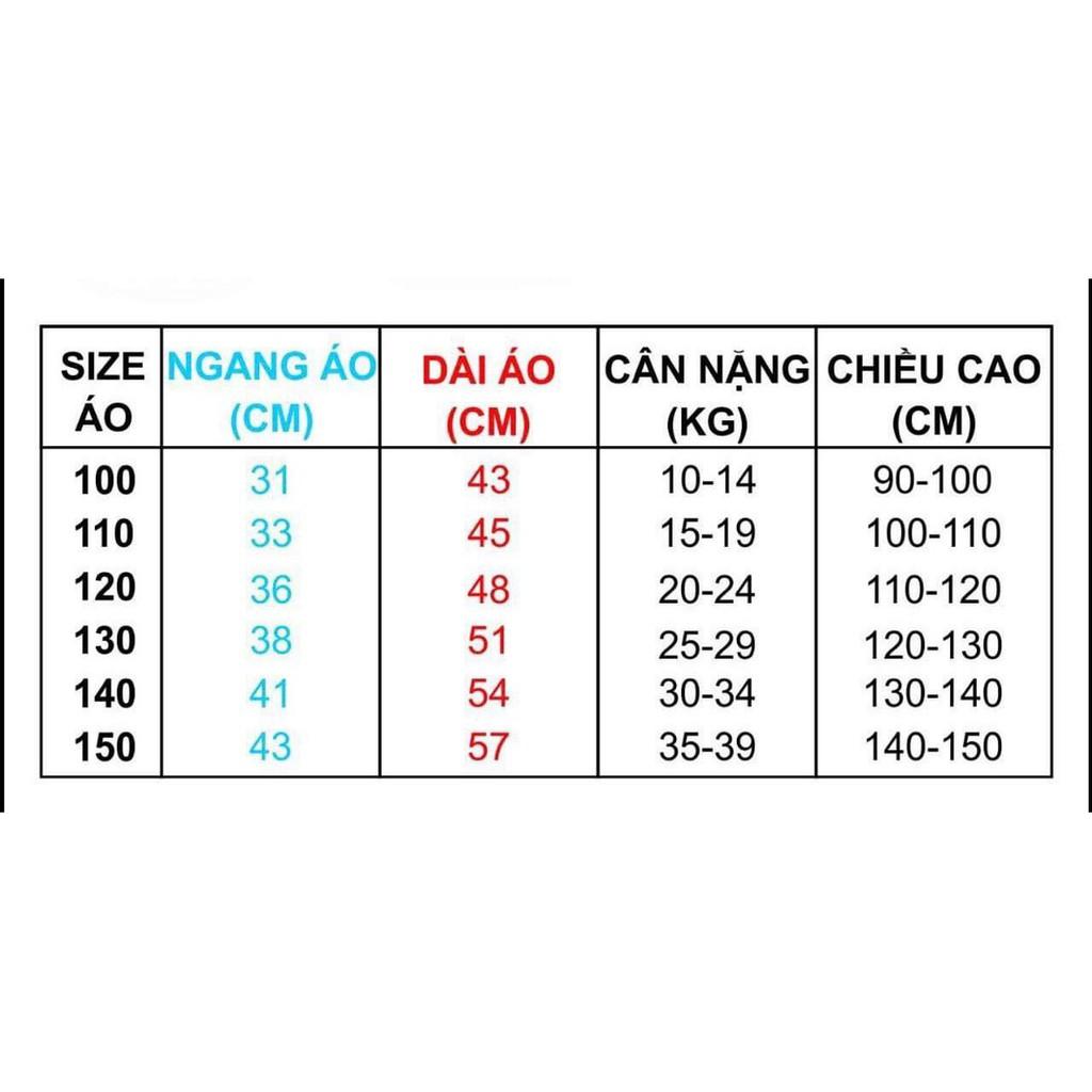 ÁO PHÔNG 100% COTTON IN GẤU CAO CẤP 4
