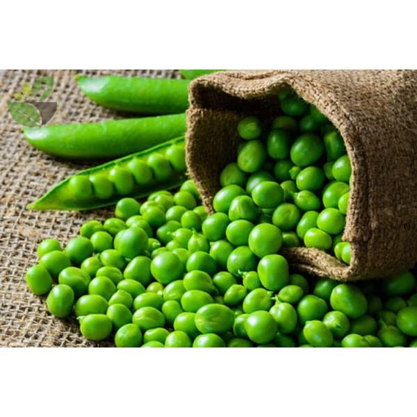 Hạt giống ĐẬU HÀ LAN XANH 10gr