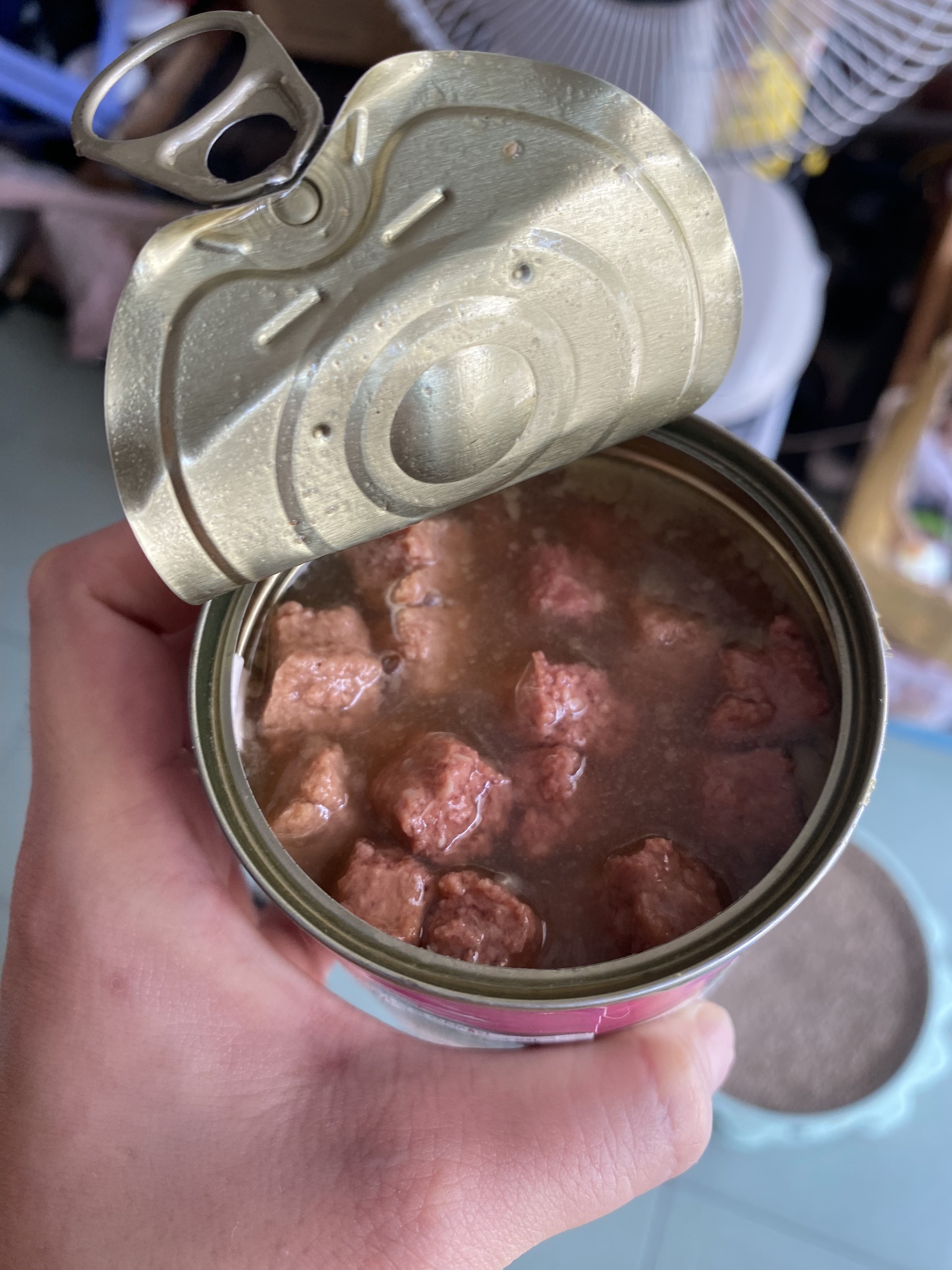 HOT -  Pate Jungle cho Mèo nhập khẩu Ý tươi ngon lon 415g