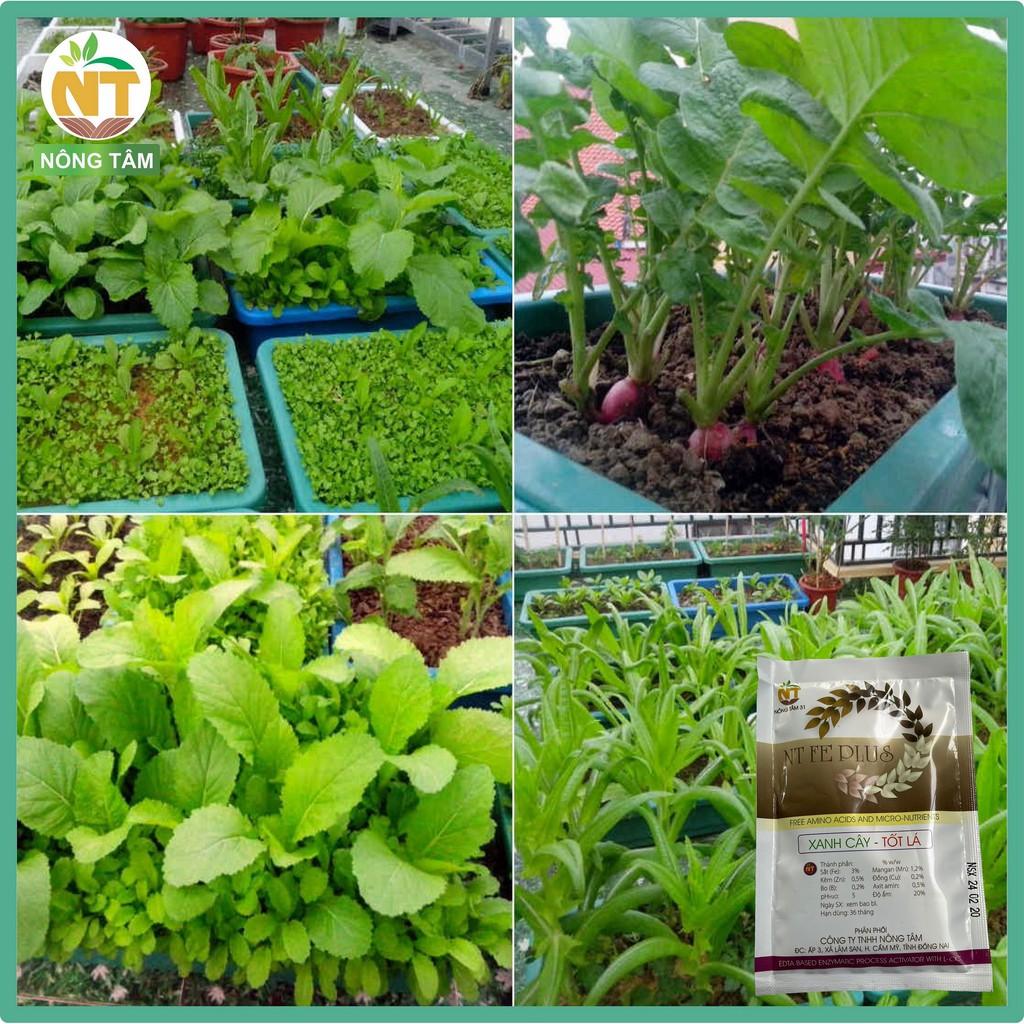Phân bón lá FE PLUS bổ sung vi lượng cho rau màu, thanh long, cây ăn quả, gói 50gr