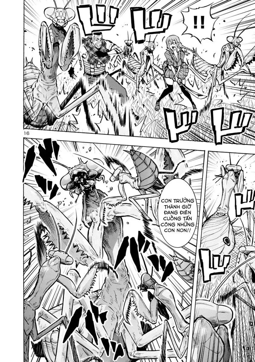 Siêu Đảo Côn Trùng chapter 12.1 16