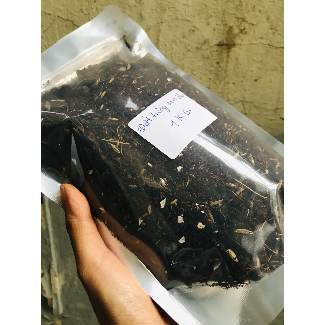 Đất trồng sen đá gói 1KG