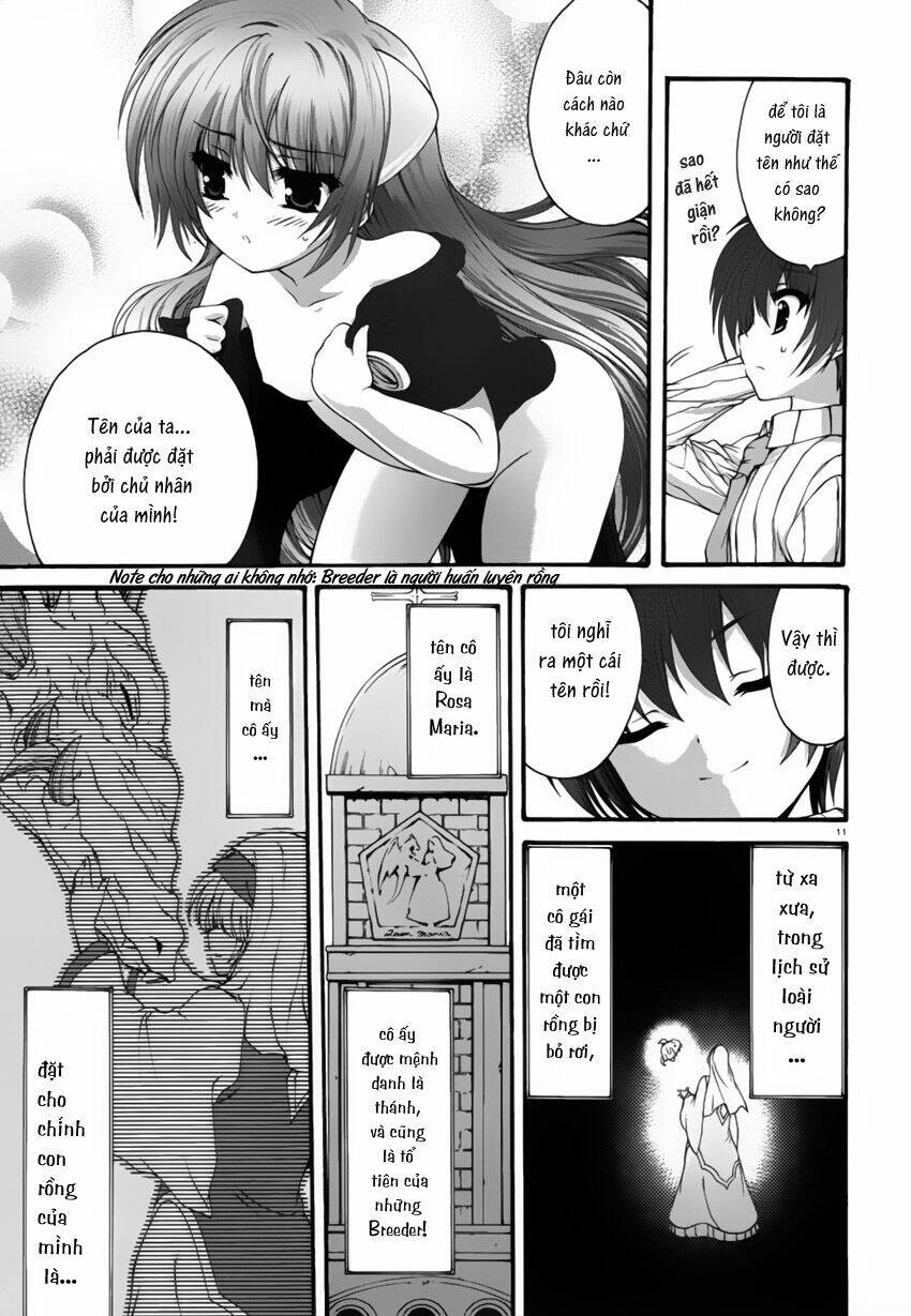 seikoku no dragonar chapter 2 13