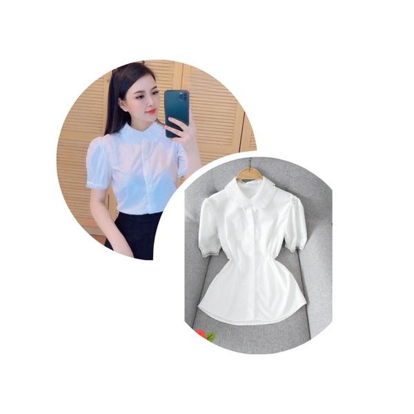 ️Áo nữ️Áo sơ mi trắng cổ ren cao cấp