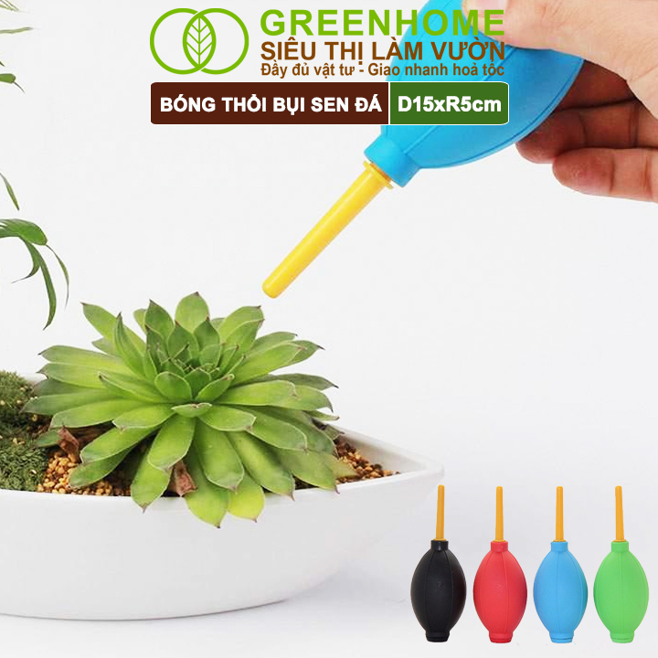 Bóng Cao Su Thổi Bụi Greenhome, D15xr5cm, Dụng Cụ Làm Vườn, Làm Sạch Cây Sen Đá, Bonsai, Màu Sắc Ngẫu Nhiên