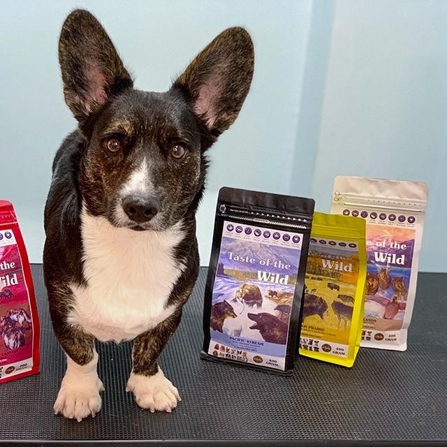 Thức Ăn Cho Chó Corgi Taste Of The Wild Bao 2kg - Wetlands Thịt Chim Rừng, Trái Cây Rau Củ Quả