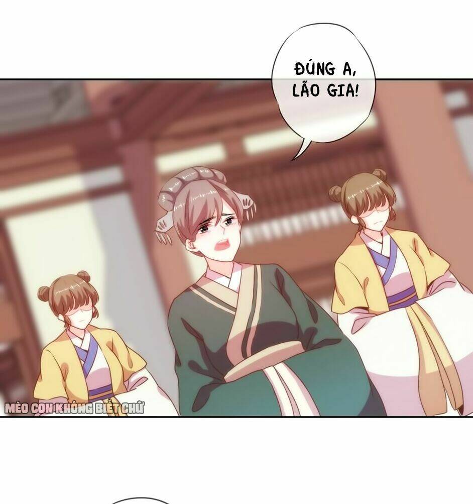 ồ, sủng phi đại nhân của ta chapter 2 30