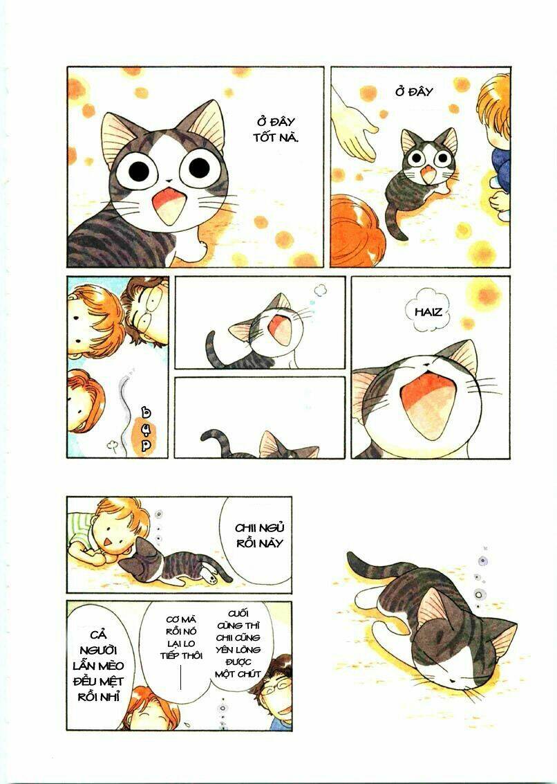 chi's sweet home chapter 65 7